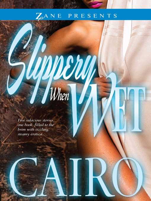 Cover image for Slippery When Wet